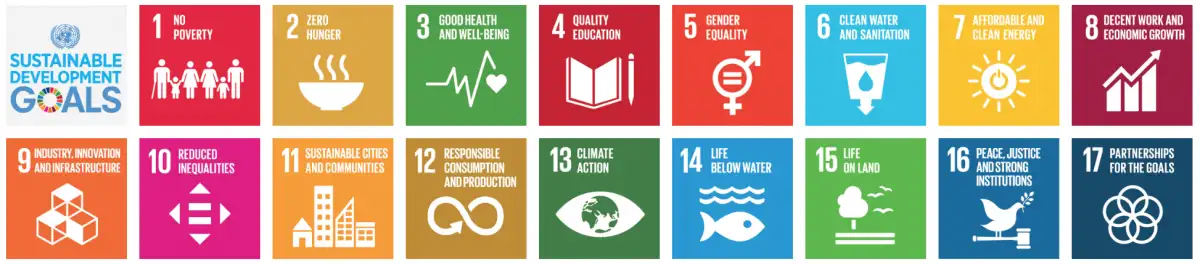 SDG banner